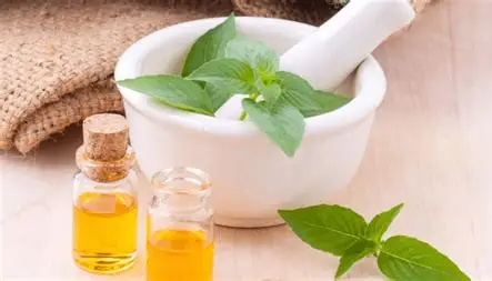 Valorisation de la médecine naturelle